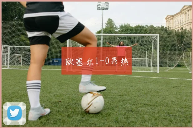 欧塞尔1-0昂热
